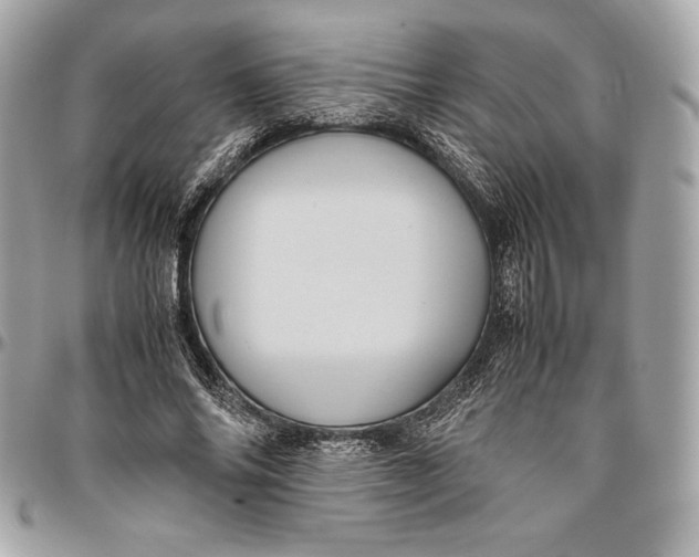 X0000096420686200802071703