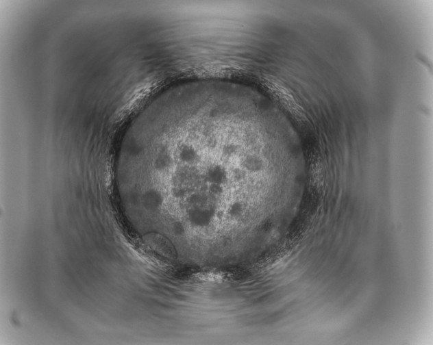 X0000096420687200802071703