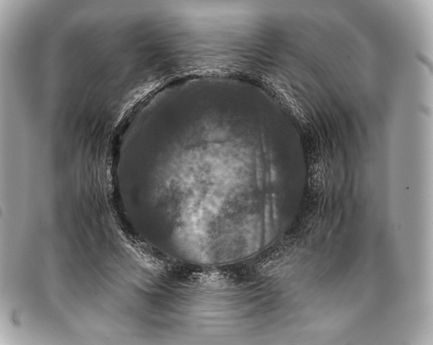 X0000096420688200802071703