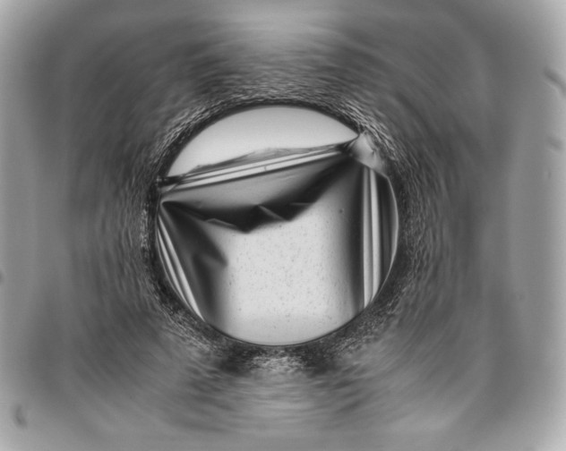 X0000096420689200802071703