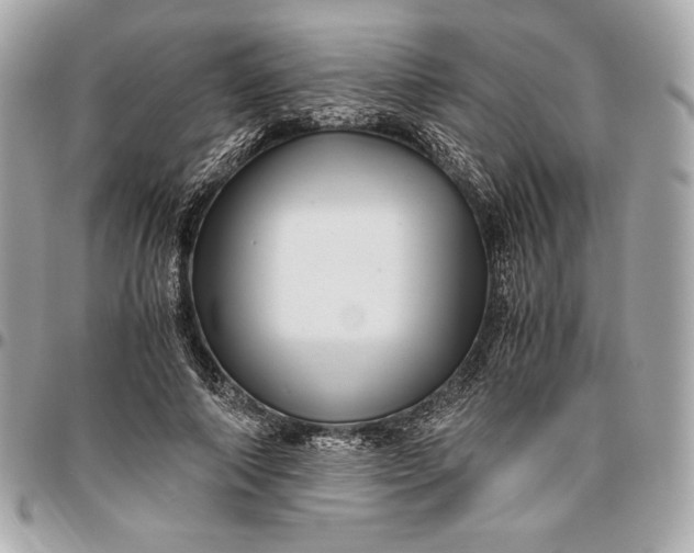 X0000096420690200802071703