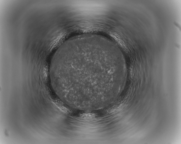 X0000096420691200802071703