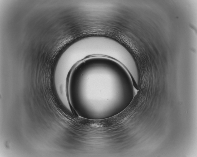 X0000096420692200802071703