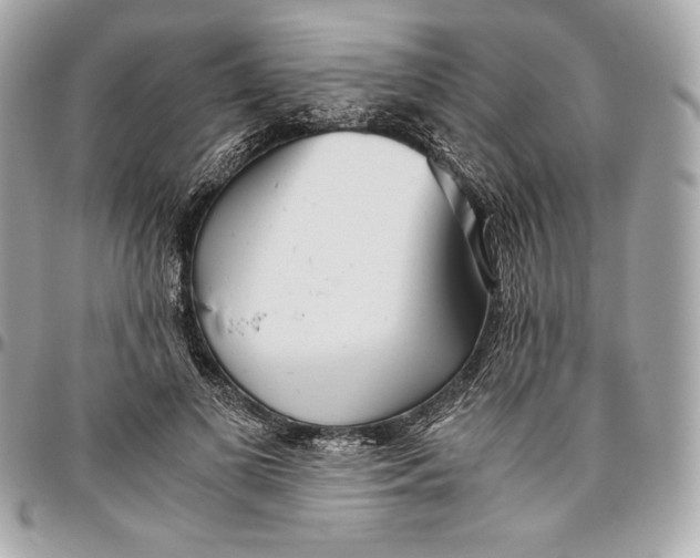 X0000096420693200802071703