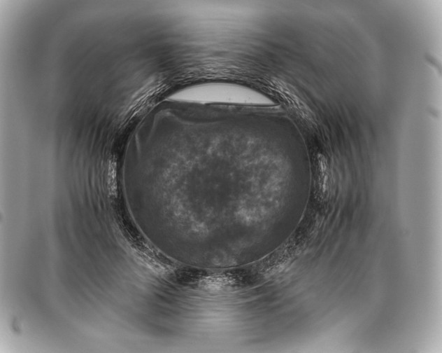 X0000096420696200802071703