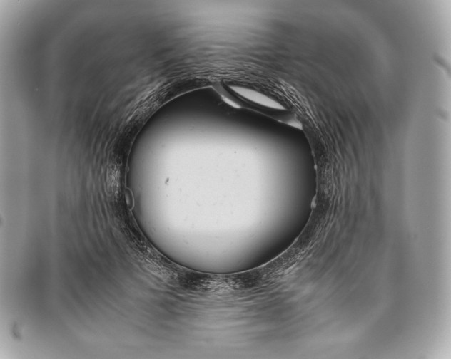 X0000096420697200802071703