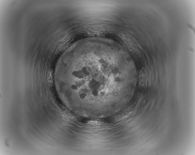 X0000096420699200802071703