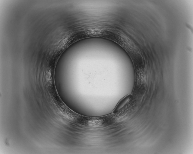 X0000096420700200802071703