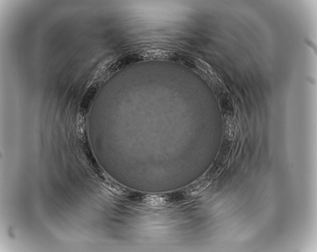 X0000096420701200802071703