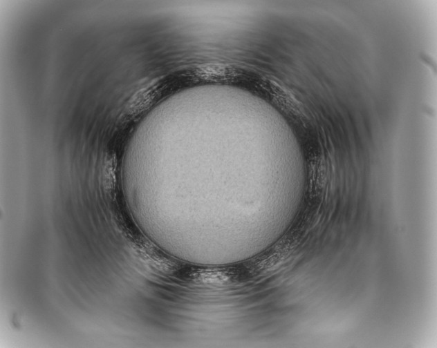 X0000096420702200802071703