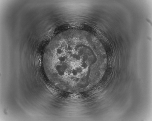 X0000096420703200802071703