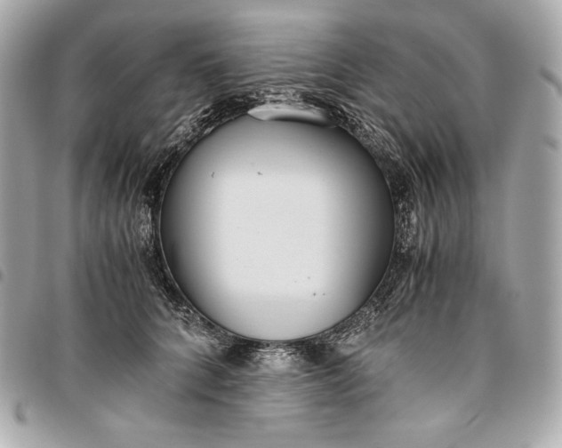 X0000096420704200802071703