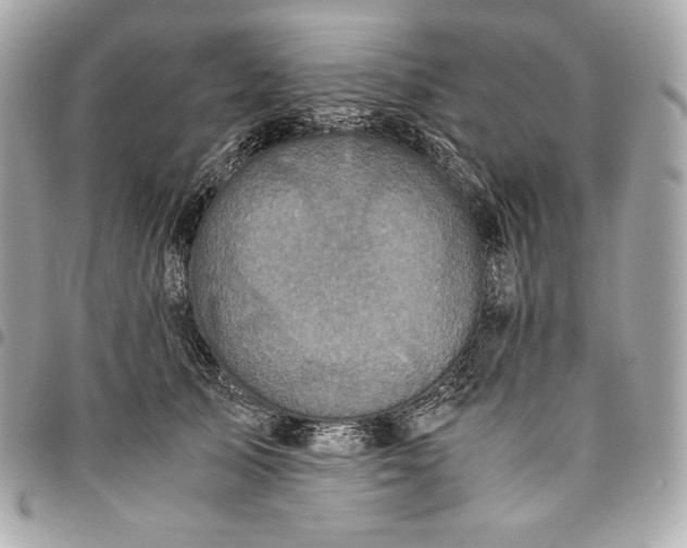 X0000096420705200802071703