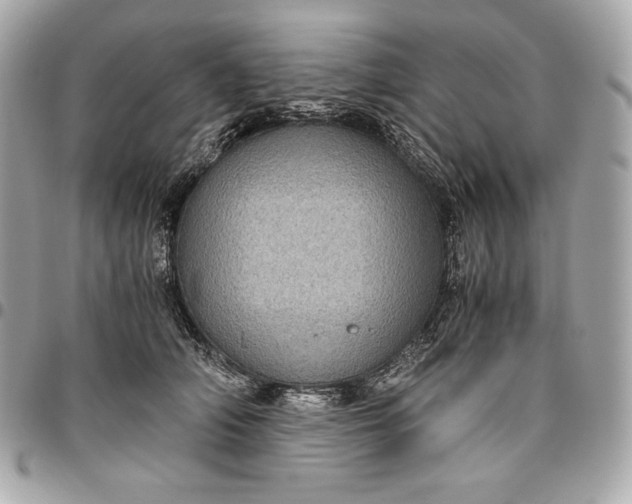 X0000096420706200802071703