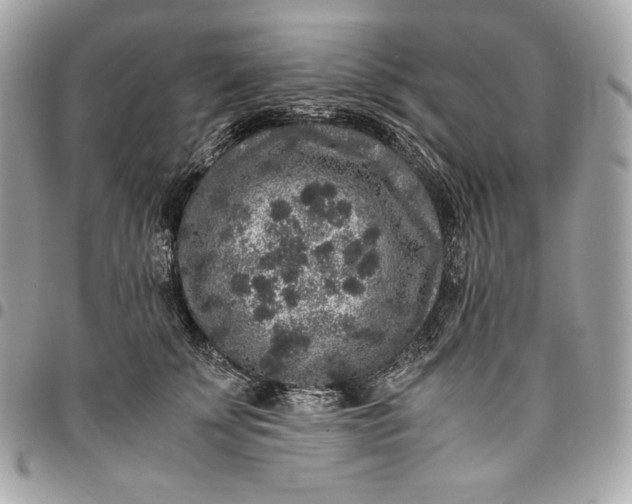 X0000096420707200802071703