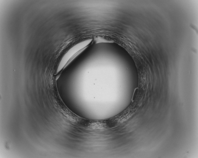 X0000096420708200802071703