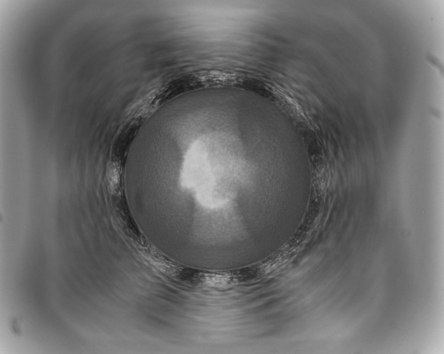 X0000096420709200802071703