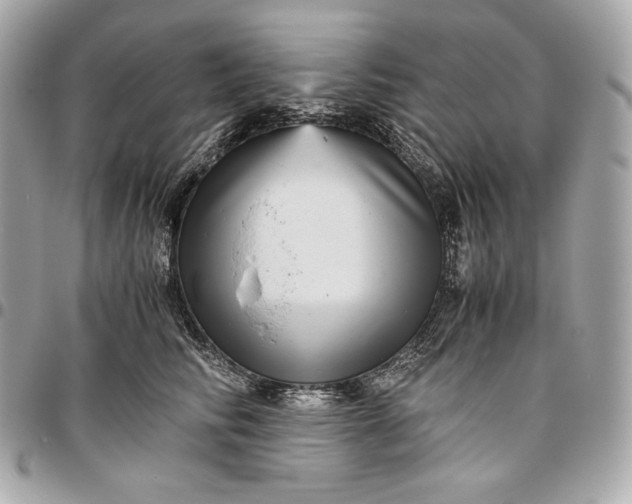 X0000096420710200802071703