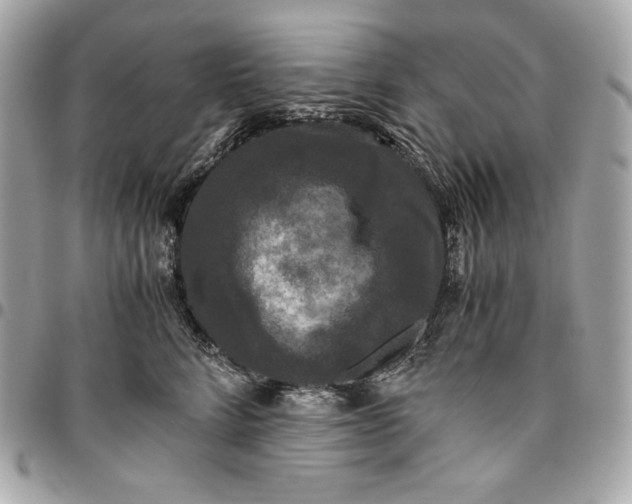 X0000096420712200802071703