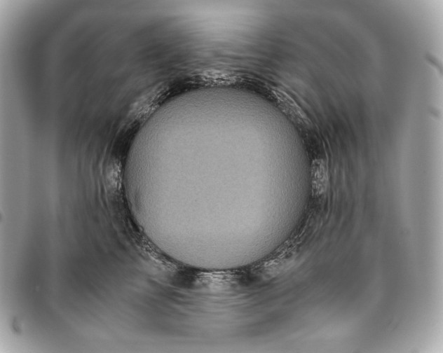 X0000096420713200802071703