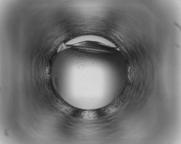 X0000096420714200802071703