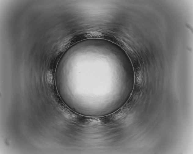 X0000096420715200802071703