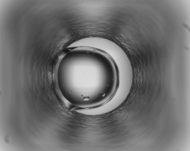 X0000096420716200802071703