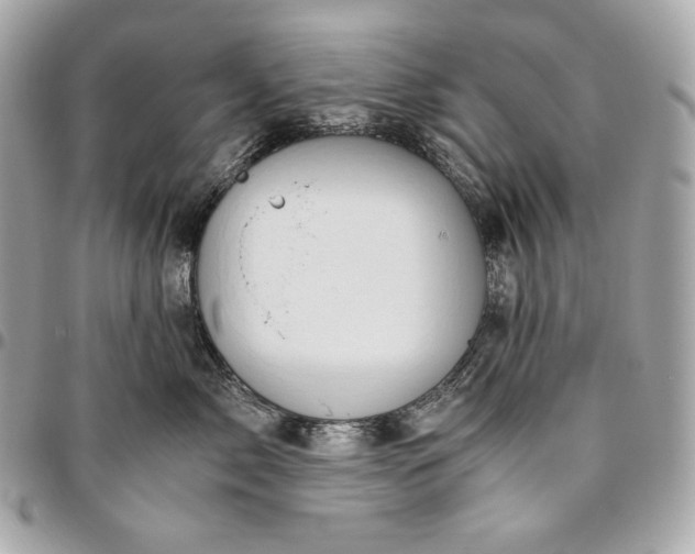 X0000096420717200802071703