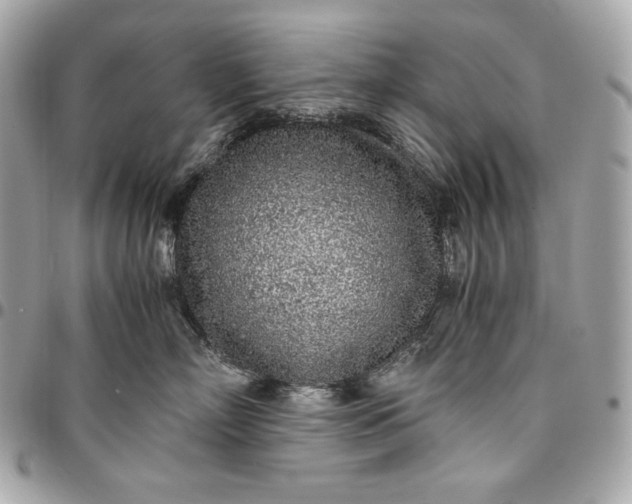 X0000096420718200802071703