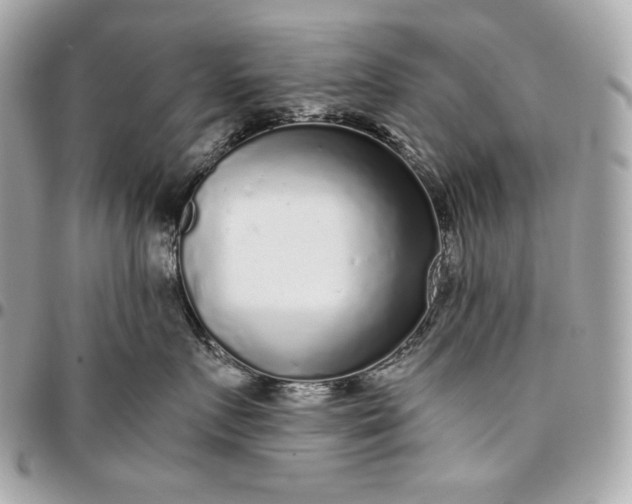 X0000096420719200802071703