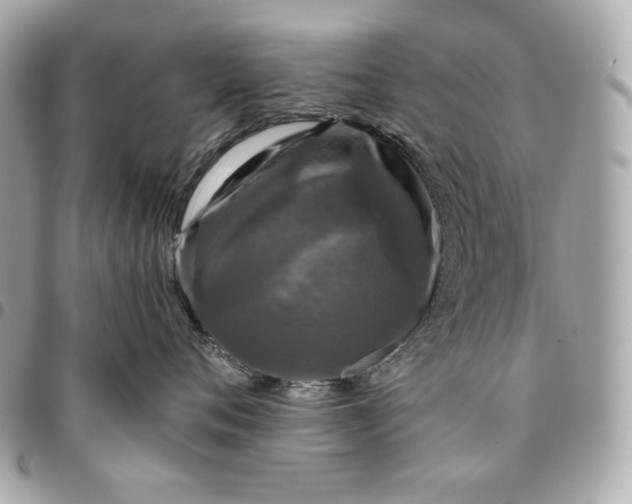 X0000096420720200802071703