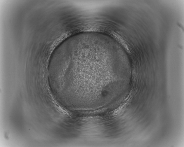 X0000096420721200802071702