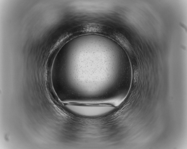 X0000096420722200802071702