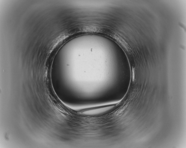 X0000096420723200802071702