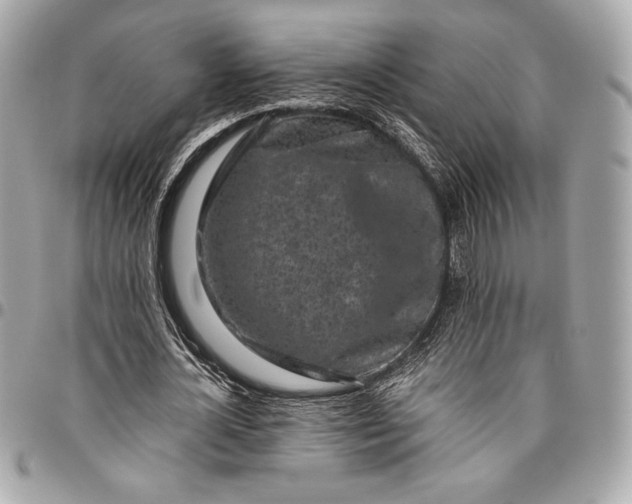 X0000096420724200802071702