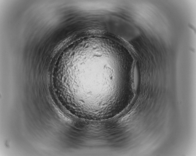 X0000096420725200802071702