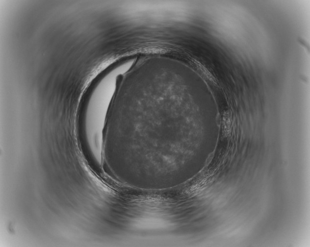 X0000096420726200802071702