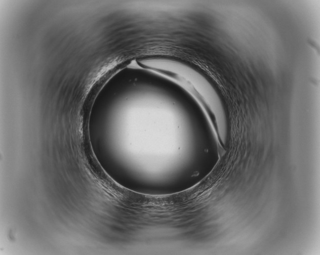 X0000096420727200802071702