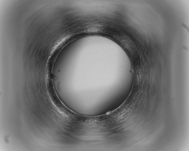 X0000096420728200802071702