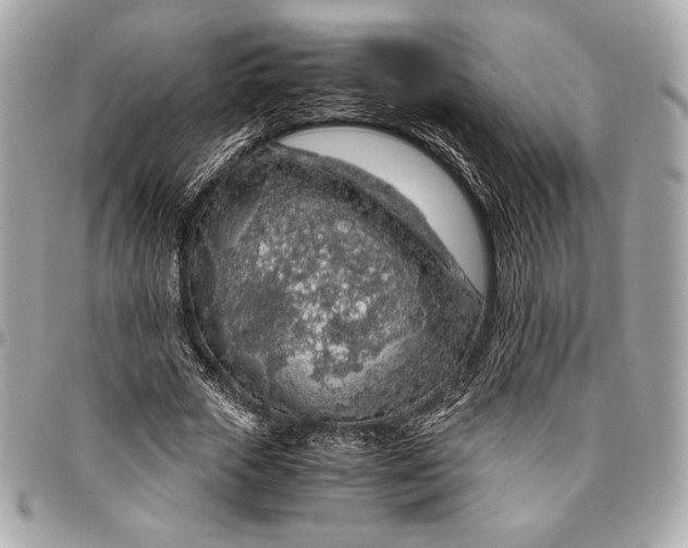 X0000096420729200802071702