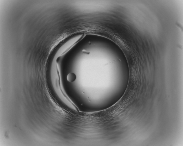 X0000096420730200802071702