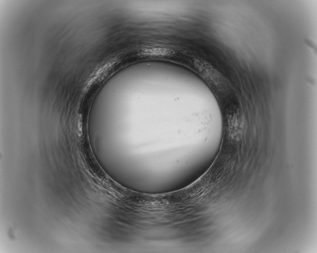 X0000096420731200802071702