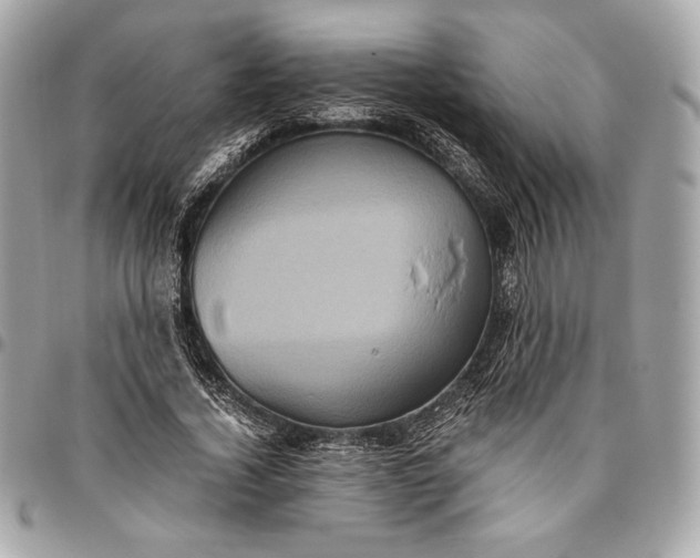 X0000096420732200802071702