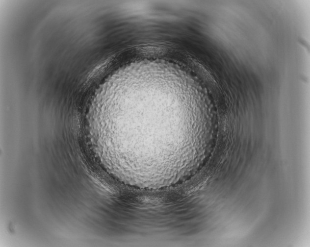 X0000096420733200802071702