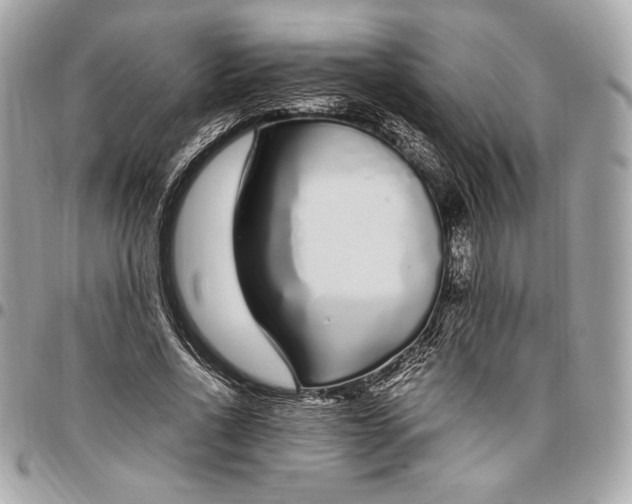 X0000096420734200802071702