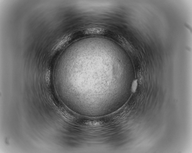 X0000096420735200802071702