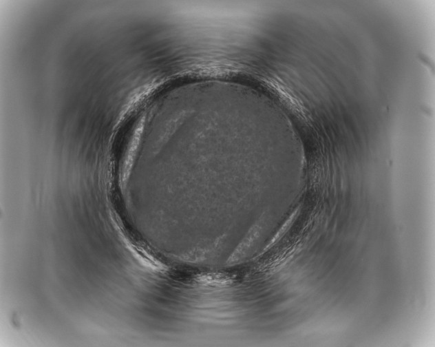 X0000096420736200802071702