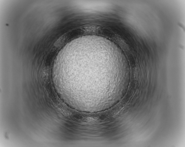 X0000096420737200802071702