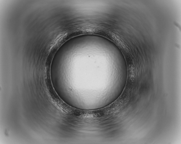 X0000096420738200802071702