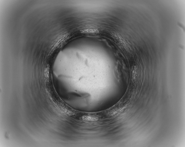 X0000096420739200802071702